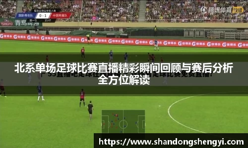 安信13娱乐