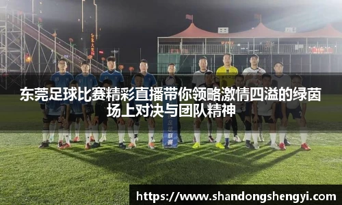 东莞足球比赛精彩直播带你领略激情四溢的绿茵场上对决与团队精神