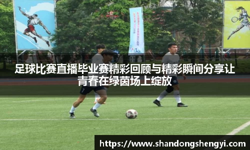 安信13娱乐