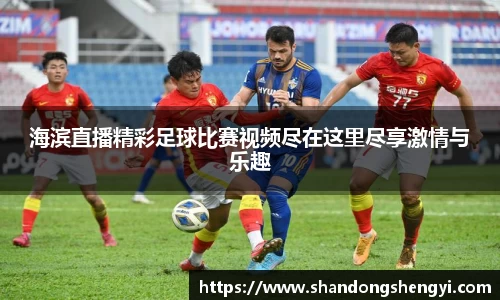 安信15娱乐
