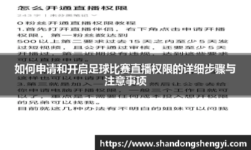 安信13娱乐