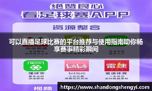 安信13娱乐