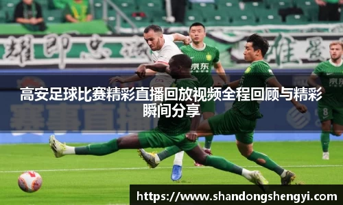 安信13娱乐