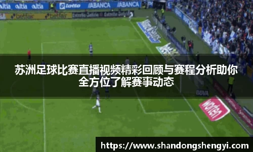 安信13娱乐