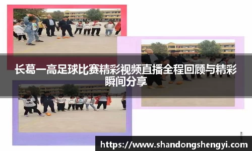 安信13娱乐
