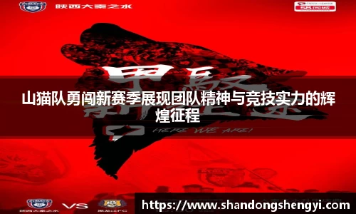 安信13娱乐