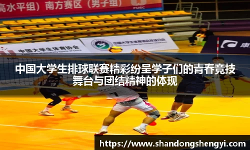 安信13娱乐